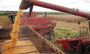 Safra de grãos de 2021/22 bate novo recorde, enquanto população passa fome