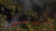Estimulado por Bolsonaro, desmatamento da Amazônia bate recorde pelo segundo ano consecutivo 