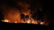 Agricultura e pastagem são as principais causas de incêndio na Amazônia, diz estudo
