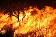 Número de queimadas bate recorde desde 1999