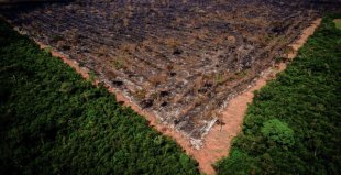 Exército estende tempo na Amazônia para manter os recordes de desmatamento e ataques aos indígenas