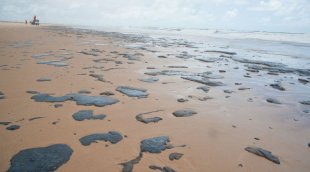 Chegam a 20 os registros de casos de intoxicação devido petróleo em praia do NE