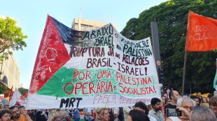Veja como foram os atos pelo Brasil em apoio ao povo palestino neste sábado dia 04/11