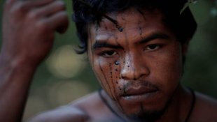 Madeireiros assassinam Paulo Paulino, indígena guardião da Amazônia