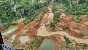 Fraudando licença, bilionários do garimpo devastaram quase 200 hectares no Pará 