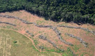 Às portas do governo Bolsonaro, desmatamento na Amazônia aumenta assustadores 406% no mês de novembro