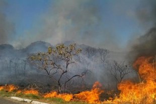 Incêndio que já destruiu 26% da Chapada dos Veadeiros foi criminoso, segundo administração do parque