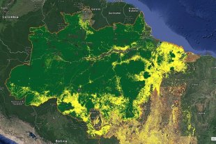Governo trava 38% do orçamento de monitoramento de florestas do Inpe
