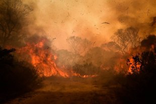 Pantanal chega a recorde histórico em área devastada pelos incêndios