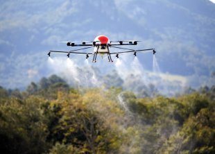 Comunidades rurais são atingidas por veneno lançado por drones em Jaqueira, Pernambuco