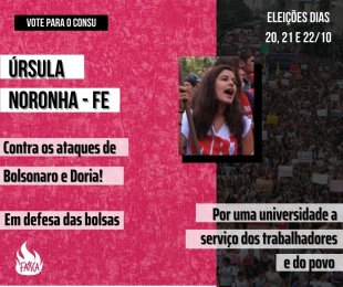 Pra poder contra-atacar: vote Úrsula Noronha para representação discente no Consu da Unicamp