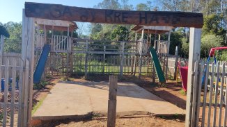 Kaingangs na iminência do despejo: Aldeia Horto Florestal sofre com ameaça de reintegração de posse após ser leiloada junto com o patrimônio da CEEE no RS