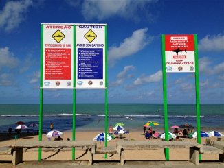 Como o capitalismo tornou o lazer praiano de Recife numa piscina de tubarões